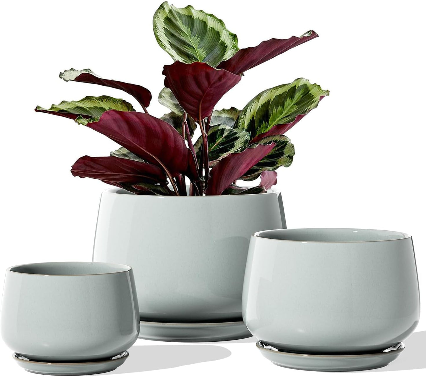 LE TAUCI Plant Pots, 4.1+5.1+6.5 inch, Set of 3, Ceramic Planters with Drainage Hole and Saucer, Indoor Flower Pot with Hole Mesh Pad, Gifts for Mom, Reactive Glaze Beige