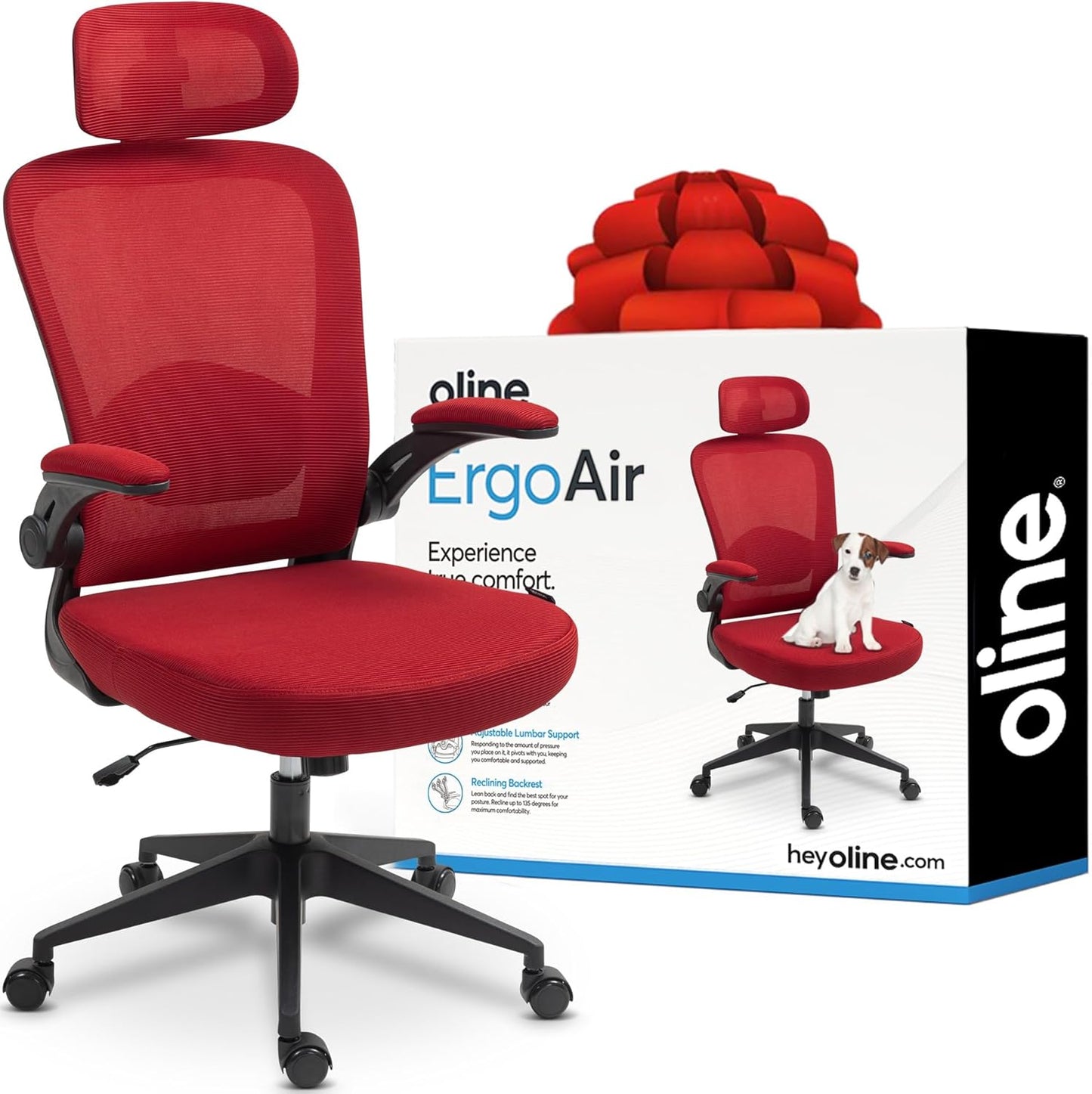 Oline ErgoAir Ergonomic Office Chair – Adjustable Lumbar Support, Flip-Up Armrests, Mesh Computer Desk Chair, Swivel Rolling Executive Gaming Chair for Home & Office (Black)