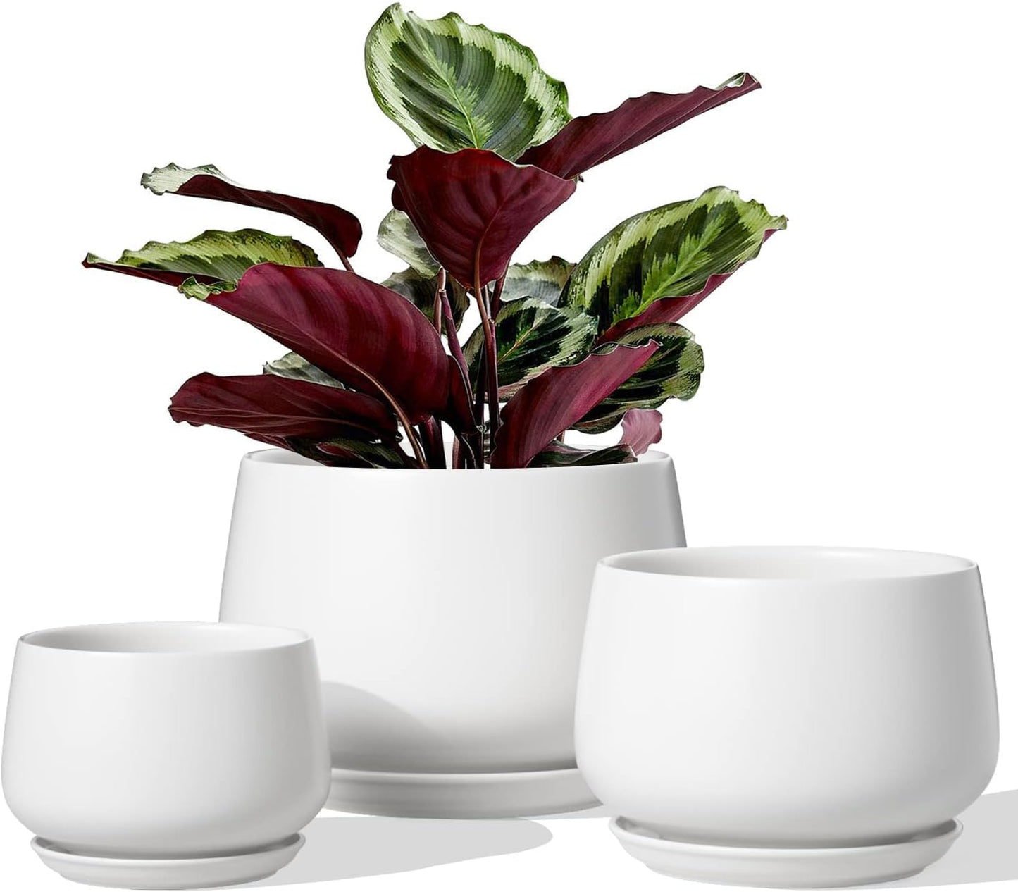 LE TAUCI Plant Pots, 4.1+5.1+6.5 inch, Set of 3, Ceramic Planters with Drainage Hole and Saucer, Indoor Flower Pot with Hole Mesh Pad, Gifts for Mom, Reactive Glaze Beige