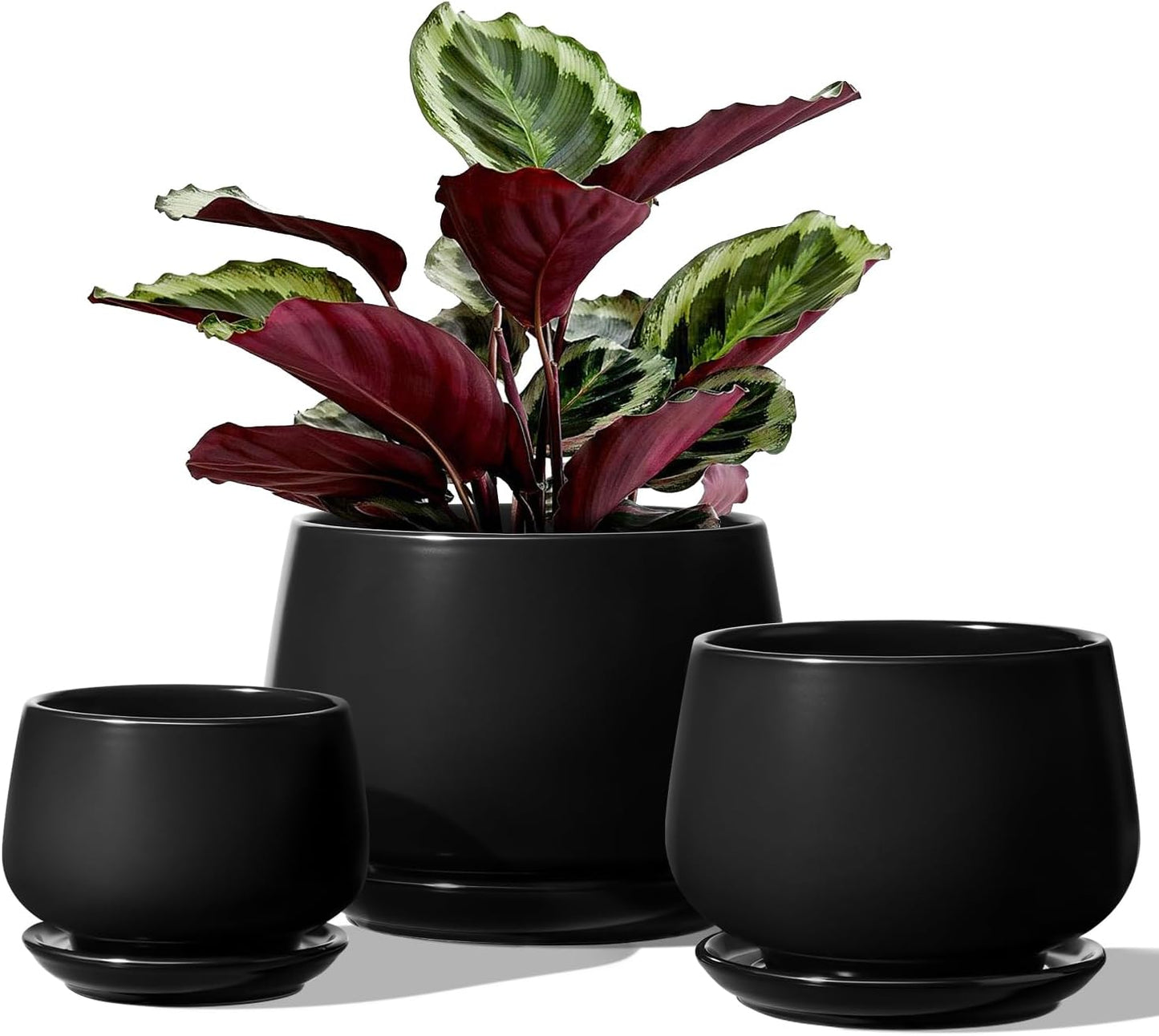 LE TAUCI Plant Pots, 4.1+5.1+6.5 inch, Set of 3, Ceramic Planters with Drainage Hole and Saucer, Indoor Flower Pot with Hole Mesh Pad, Gifts for Mom, Reactive Glaze Beige