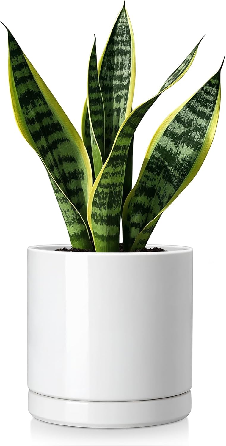 vancasso Ceramic Planters, Plant Pots for Indoor Plants, 6.25+8.25+10.25 Inch Ceramic Pots for Plants, Flower Pots with Drainage Holes, Planters Pot for Indoor House Plant, Set of 3, White