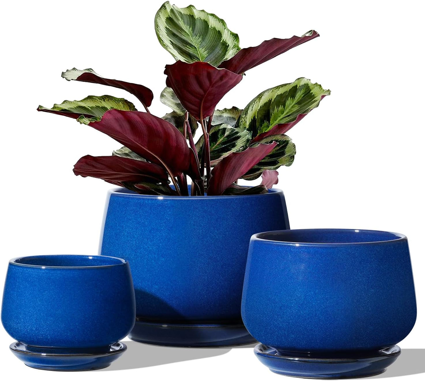 LE TAUCI Plant Pots, 4.1+5.1+6.5 inch, Set of 3, Ceramic Planters with Drainage Hole and Saucer, Indoor Flower Pot with Hole Mesh Pad, Gifts for Mom, Reactive Glaze Beige