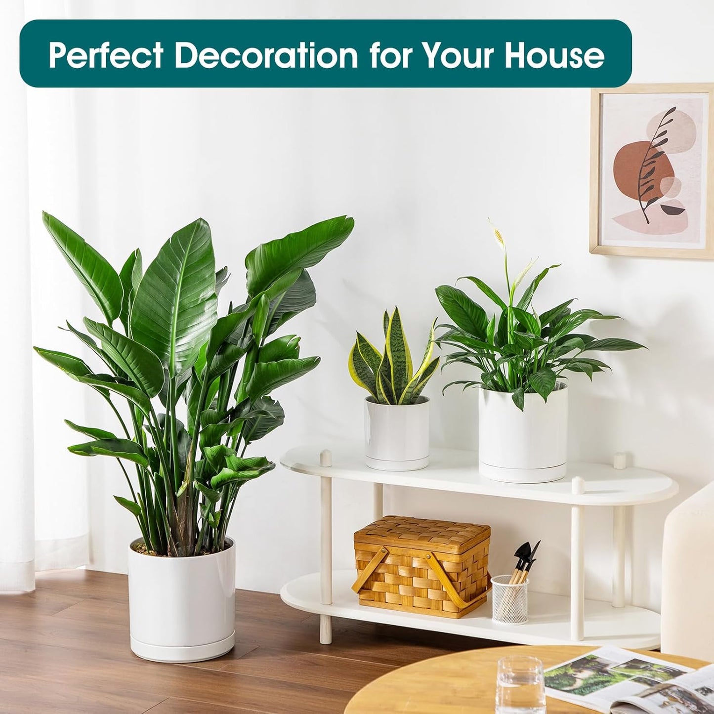 vancasso Ceramic Planters, Plant Pots for Indoor Plants, 6.25+8.25+10.25 Inch Ceramic Pots for Plants, Flower Pots with Drainage Holes, Planters Pot for Indoor House Plant, Set of 3, White