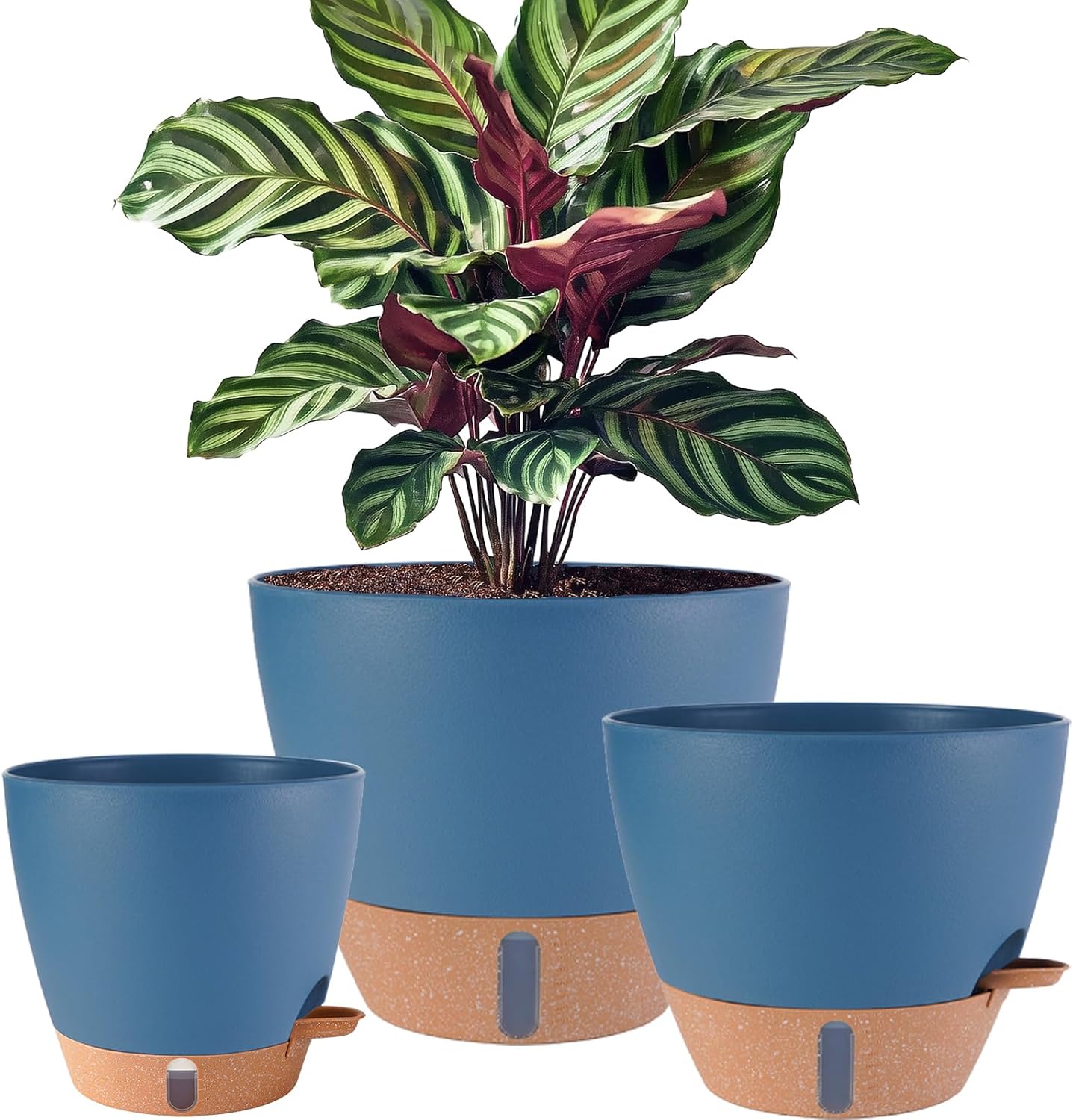 8/10/12 Inch Self Watering Pots for Indoor/Outdoor Plants - Large Plastic Planter with Drainage Holes, Water Level Indicator & Deep Reservoir, Modern Decorative Flower Pots (Black)