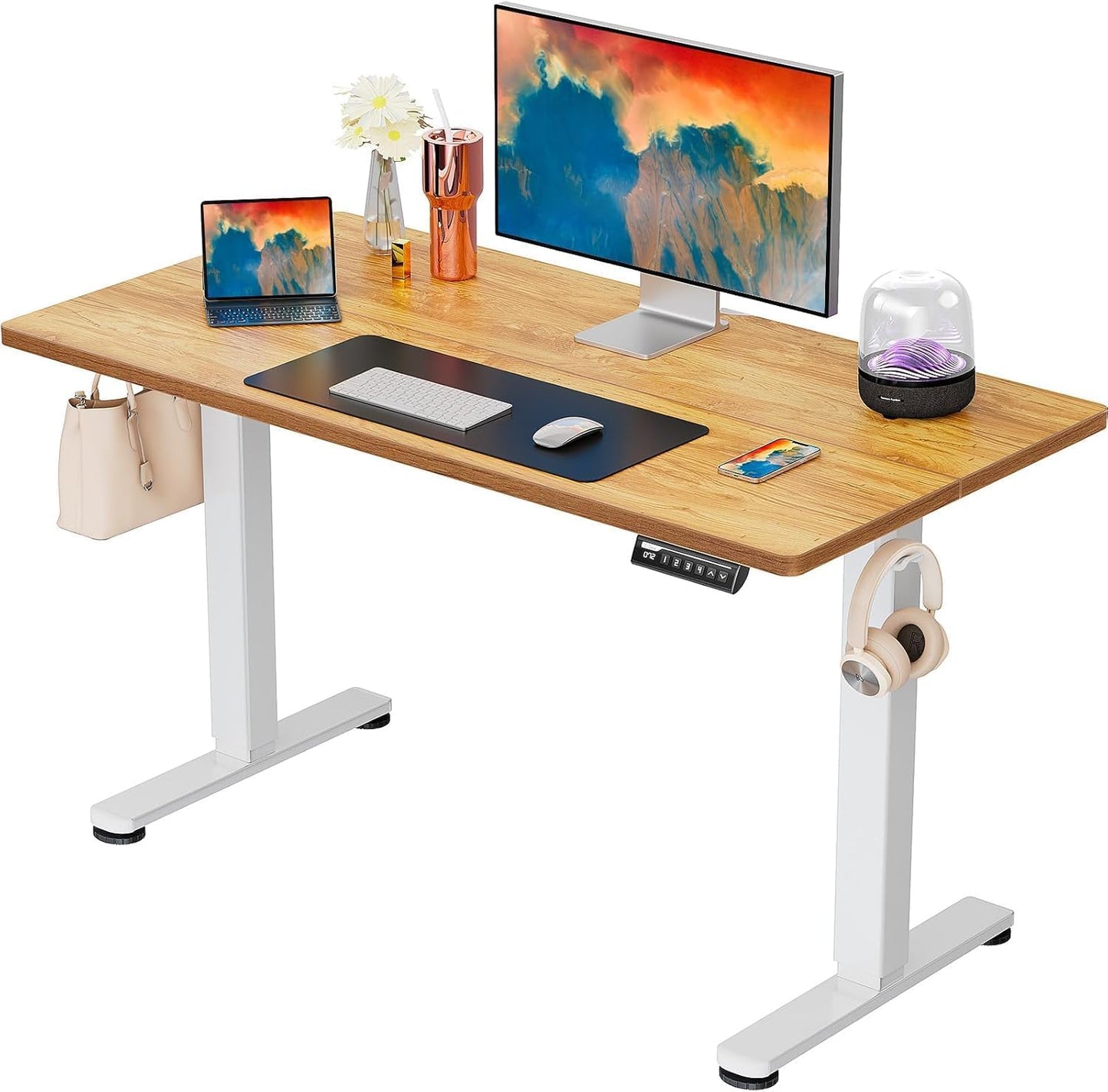 ErGear Height Adjustable Electric Standing Desk, 47.2 x 23.6 Inches Sit Stand up Desk, Memory Computer Home Office Desk with Two-Piece Desktop (Black)