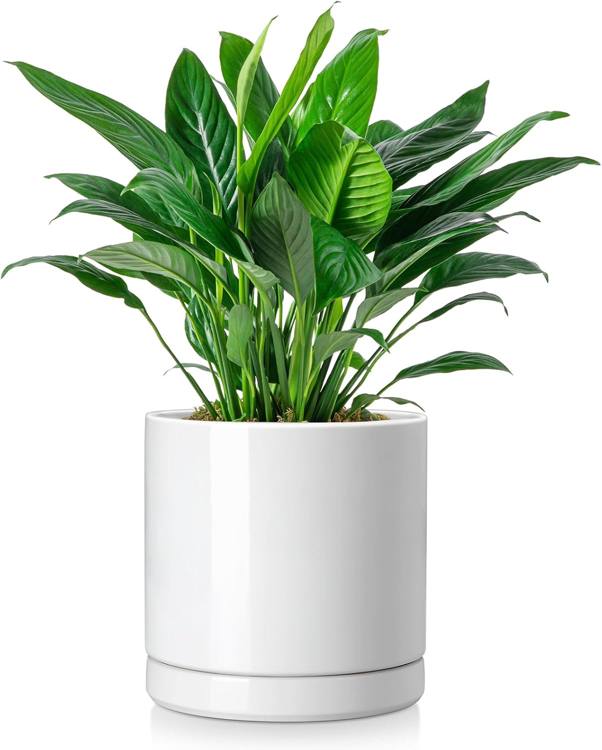 vancasso Ceramic Planters, Plant Pots for Indoor Plants, 6.25+8.25+10.25 Inch Ceramic Pots for Plants, Flower Pots with Drainage Holes, Planters Pot for Indoor House Plant, Set of 3, White
