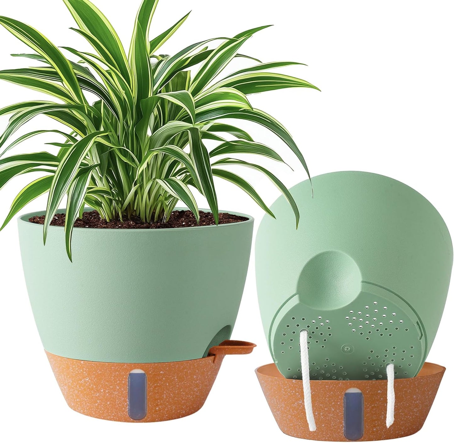 8/10/12 Inch Self Watering Pots for Indoor/Outdoor Plants - Large Plastic Planter with Drainage Holes, Water Level Indicator & Deep Reservoir, Modern Decorative Flower Pots (Black)